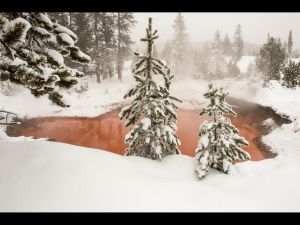 Winter in Yellowstone-Tomato Hot Pool